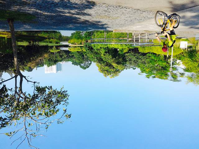 碧山－宏茂桥公园