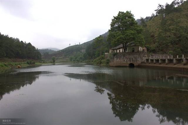 野梅岭森林公园