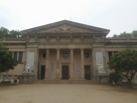 Geology Museum (Museu de Geologia)