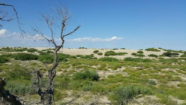 翁牛特旗地质公园