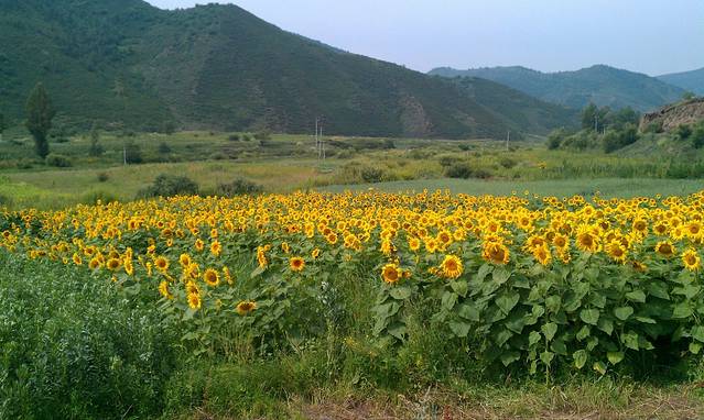 红松洼国家级自然保护区