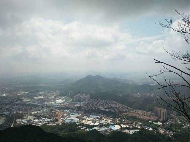 莲花山郊野公园