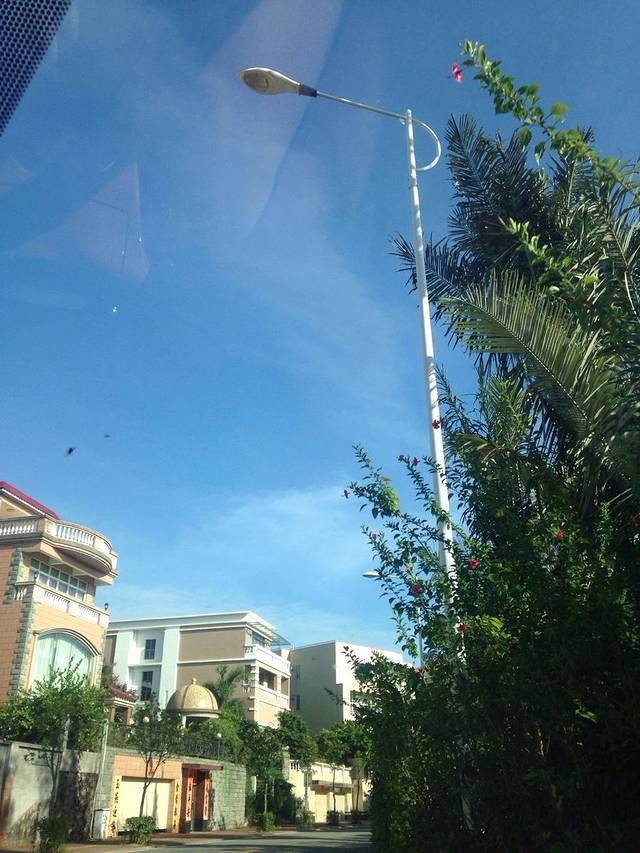 阳江市区森林公园