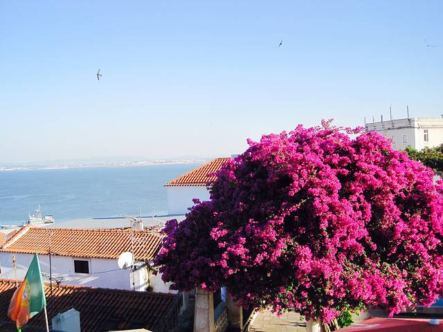 圣卢西亚观景台