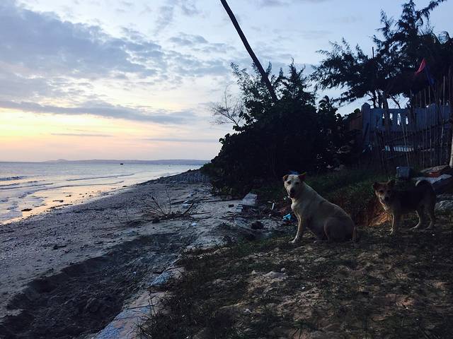 曼塔帆船训练中心