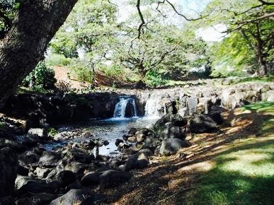 莉莉乌卡拉尼女王植物园