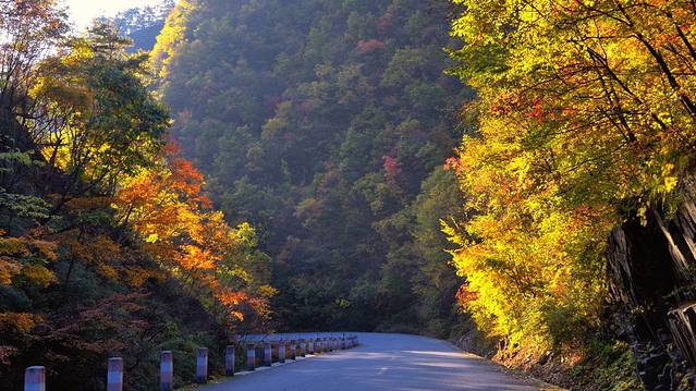 黄花岭风景区