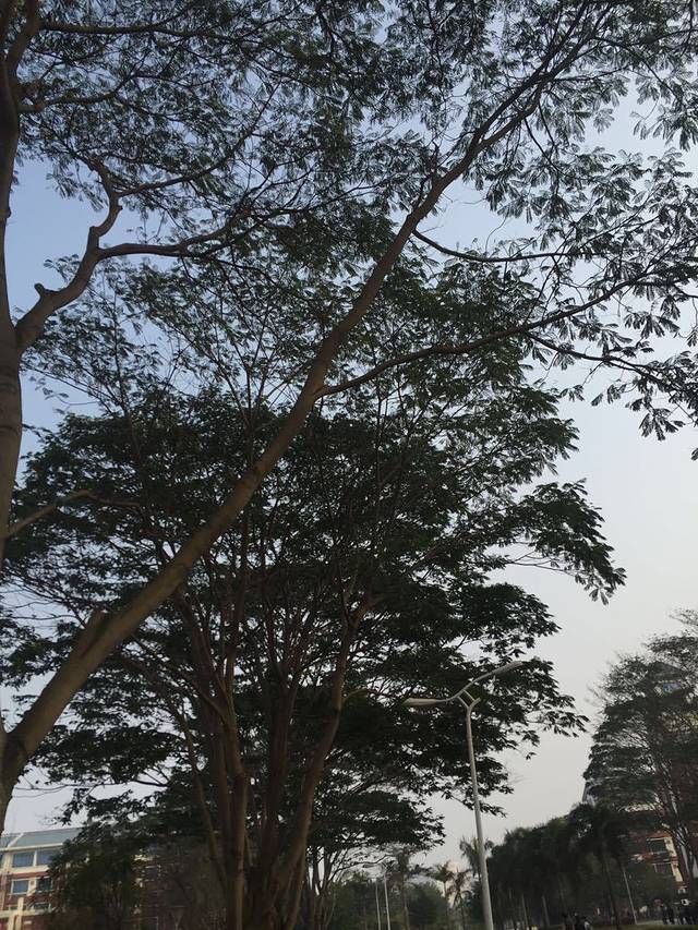 福建中医药大学