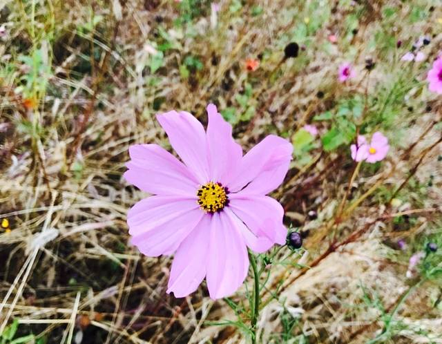 蒲洼自然保护区