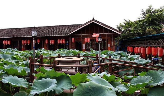 鲜龙井火锅公园(南山店)