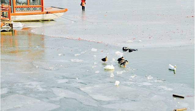 什刹海西海湿地公园