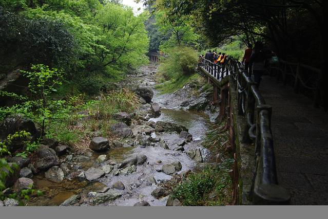 雁荡山国家森林公园-筋竹涧