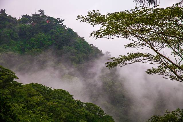 六甲高山植物园