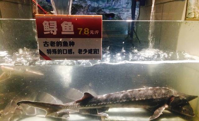 二滩打鱼匠(良康花园店)