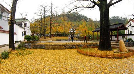 清泉自然科学探索园