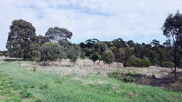 O'Halloran Hill Conservation Park