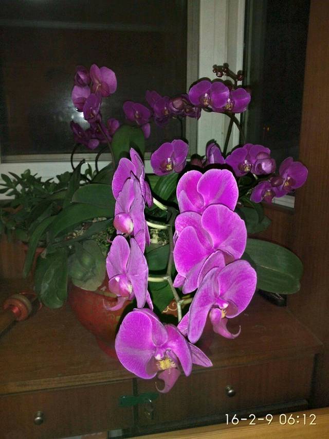 舞彩浅山滨水国家登山步道