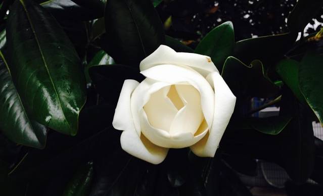 长沙学院-图书馆