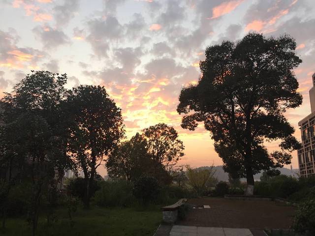 中南大学(潇湘校区)