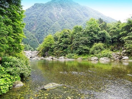 龙门河国家森林公园公益电影放映点