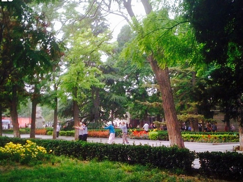 美术馆街心公园