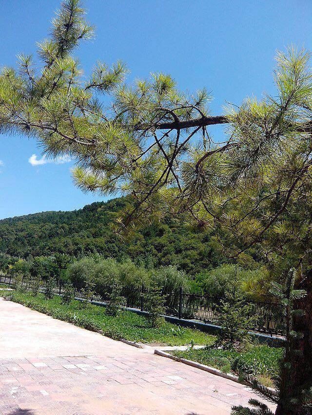 石门山国家森林公园