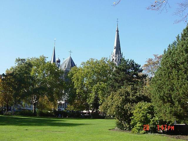 马斯特里赫特大学