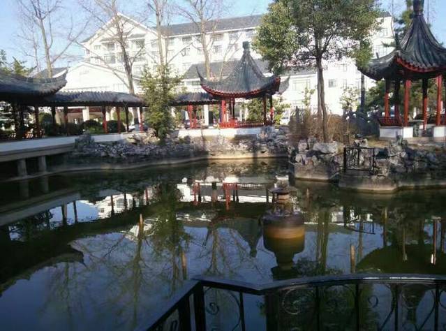 花蝶寿司(太平路店)