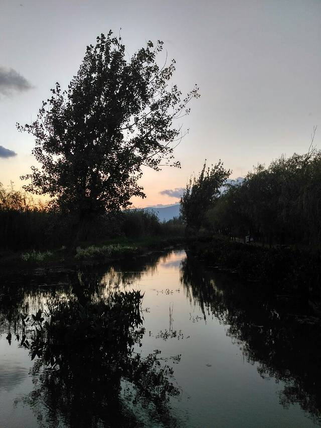 塭子头红树林生态保护区