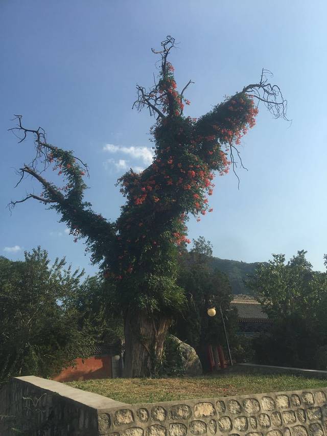 大河村遗址博物馆