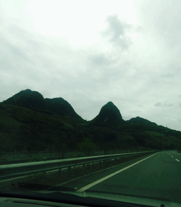 一品食尚猪肚鸡