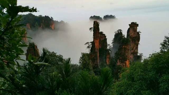 砂岩峰林地质公园