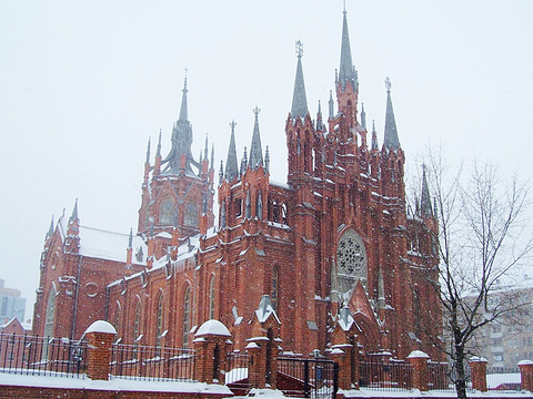 cathedral of the roman catholic church of the immaculate