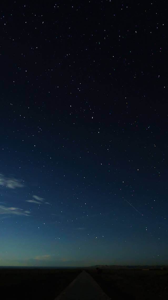 塞外春肥羊府(宝岛店)