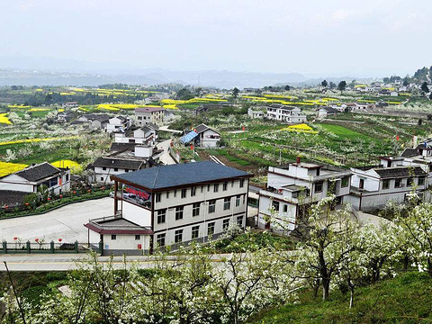 2018狮岭村_旅游攻略_门票_地址_游记点评,苍溪旅游景点推荐 - 去哪儿