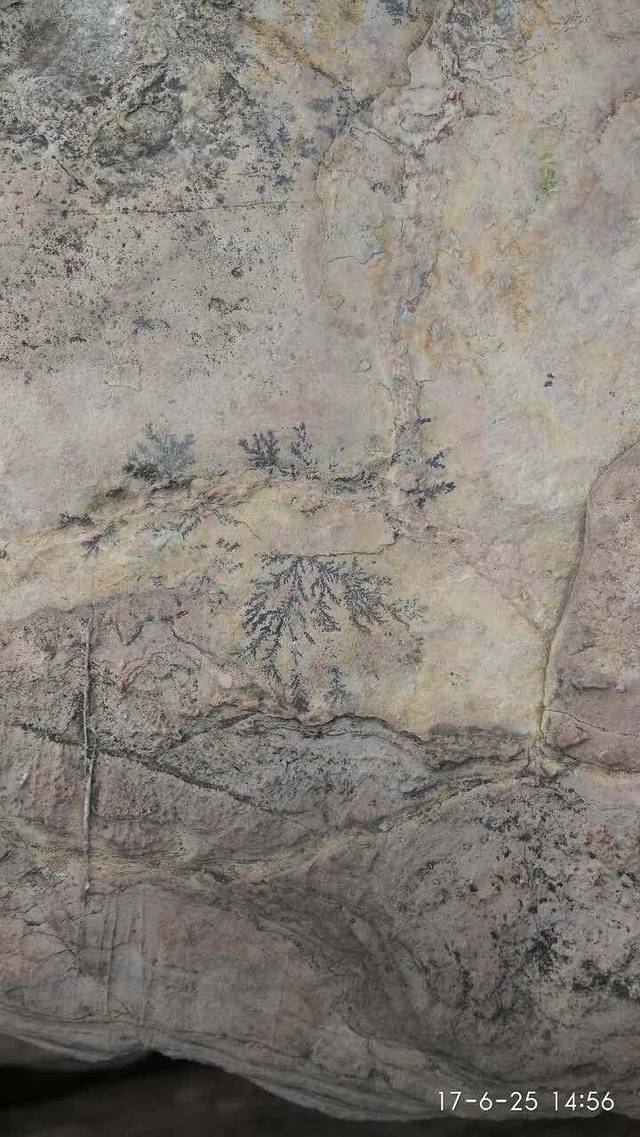 琦龙豆捞(莱芜店)