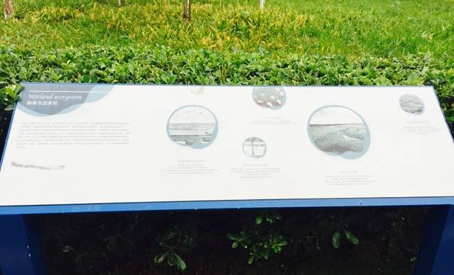 三圣乡白鹭湾湿地公园自助烧烤(三圣乡农家乐)