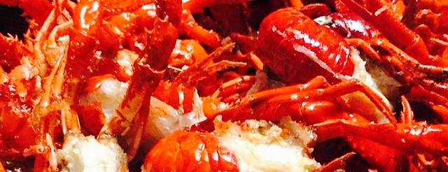 草原情烤全羊(友谊店)