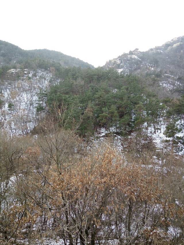 石柱山森林公园