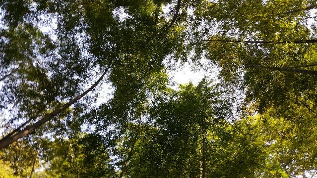 杭州之江国家旅游度假区