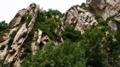 石家庄老虎头森林公园