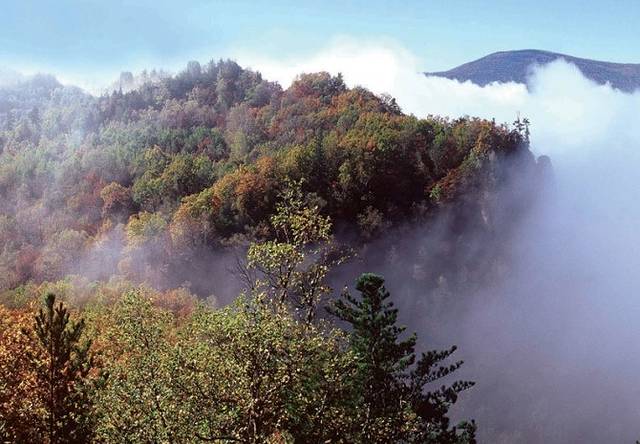 街津山国家森林公园