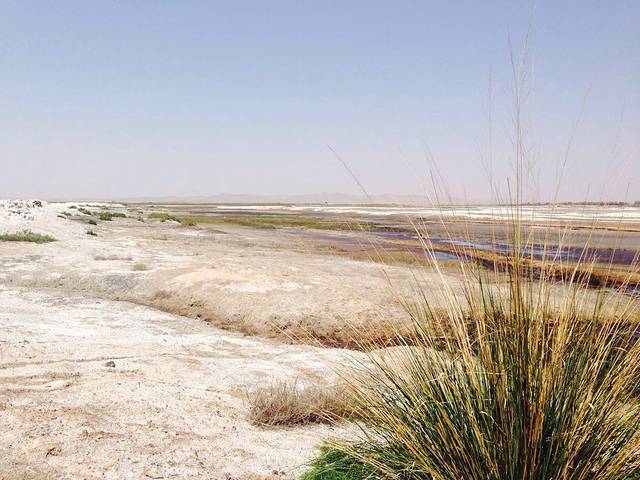水稍子生态旅游区