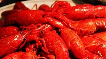 樱桃龙虾烧烤(万松园店)