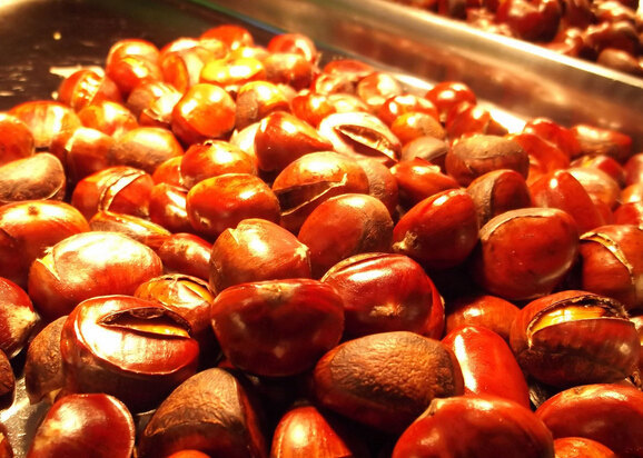 栗王之家(汇金谷购物公园店)