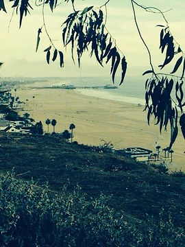 Palisades Park and Recreation Center