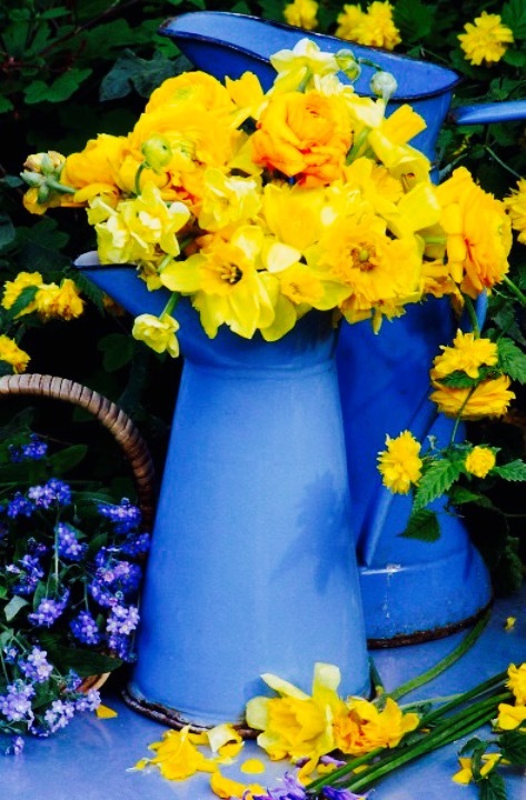 丹家塞外独一涮(丛台店)