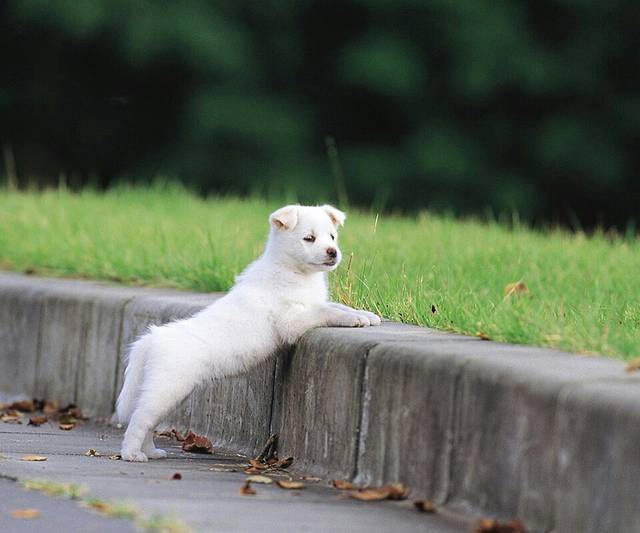 浅水湾水上公园