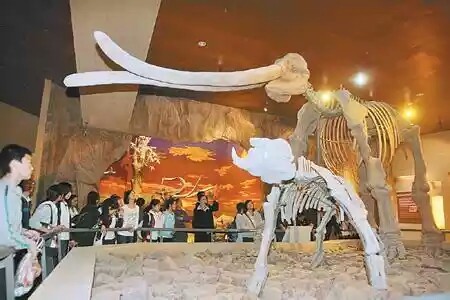 郑州黄河文化公园-地质博物馆