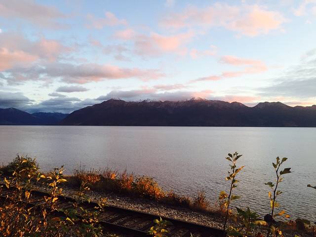波特沼泽区鸟类保护区